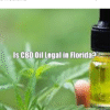 Is CBD oil in Florida?