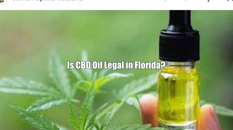 Is CBD oil in Florida?